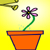 Flower Growth Animation