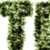 Moss Text Effect