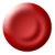 Red Blood Cell