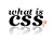 What is CSS?