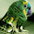 BirdFrog photoshop tutorial