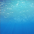 Underwater Scene